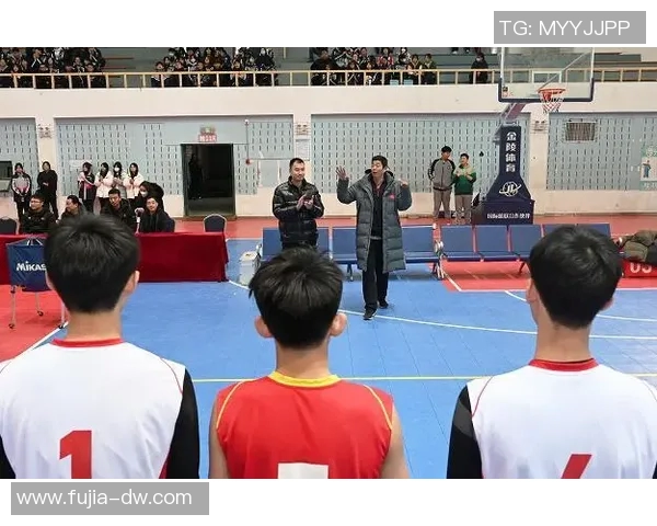 专访刘磊揭秘排球成功秘诀与未来发展方向