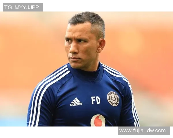 荷兰足球明星戴维斯的辉煌历程与未来展望