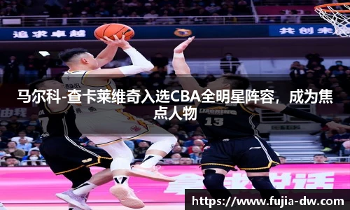 bsports官网入口