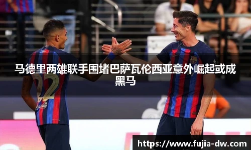 bsports官网入口